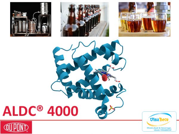 Enzyme Alphalase Advance 4000 - VinaBeco - Công Ty CP Công Nghệ Bia Rượu Nước Giải Khát Việt Nam